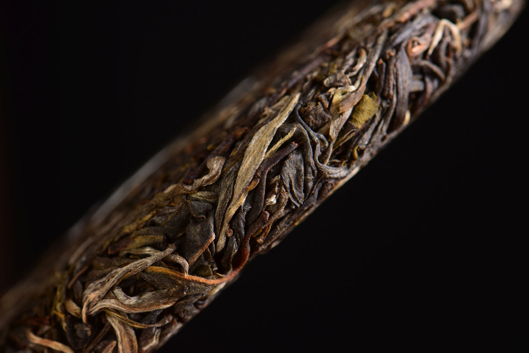2025 Yunnan Sourcing "Xi Niu Tang Pasha" Raw Pu-erh Tea Cake | Yunnan Sourcing Tea Shop