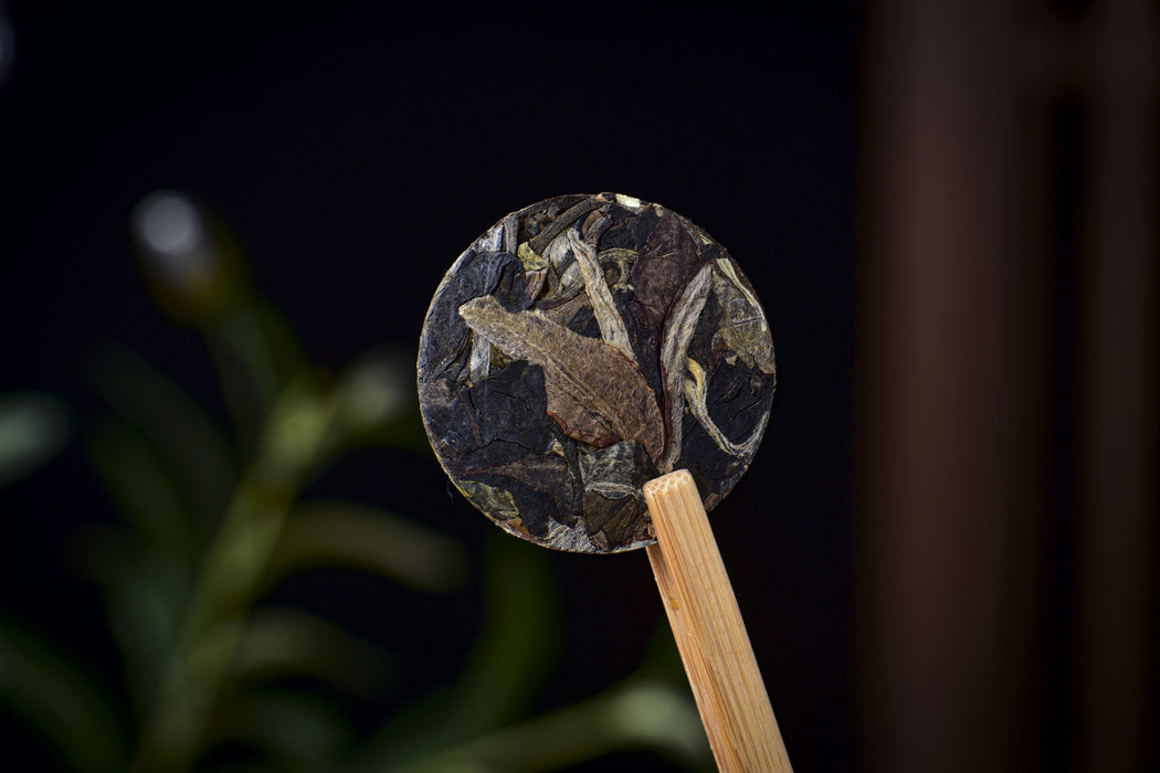 2026 Yunnan Sourcing "Silver Horse" White Tea Mini Cakes | Yunnan Sourcing Tea Shop