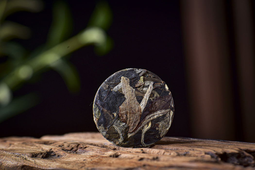 2026 Yunnan Sourcing "Silver Horse" White Tea Mini Cakes | Yunnan Sourcing Tea Shop