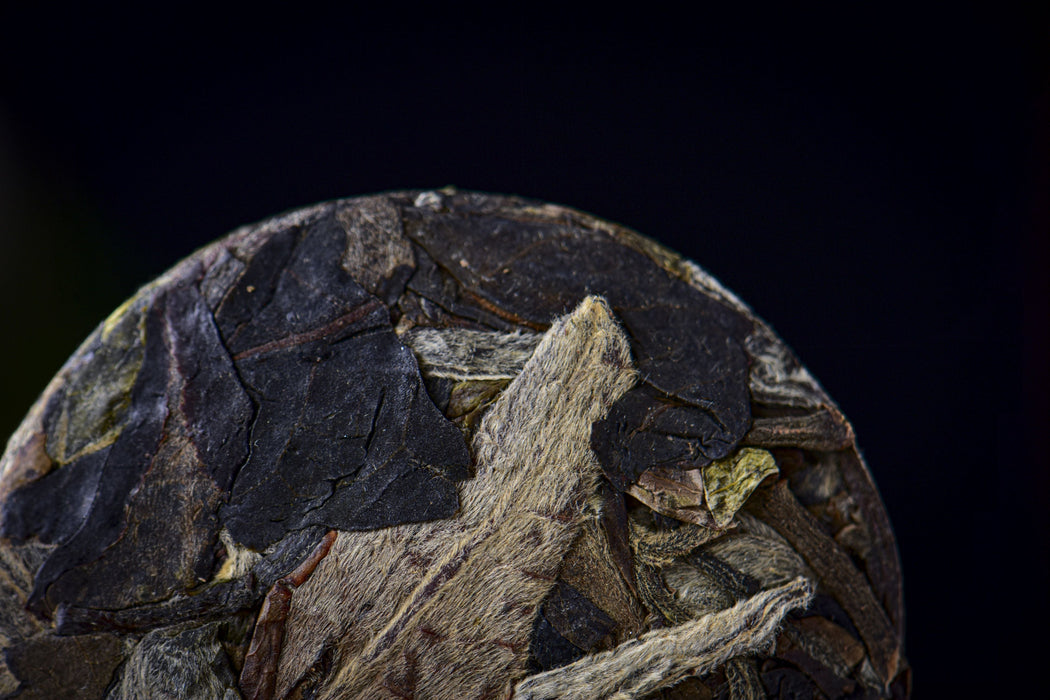 2026 Yunnan Sourcing "Silver Horse" White Tea Mini Cakes | Yunnan Sourcing Tea Shop