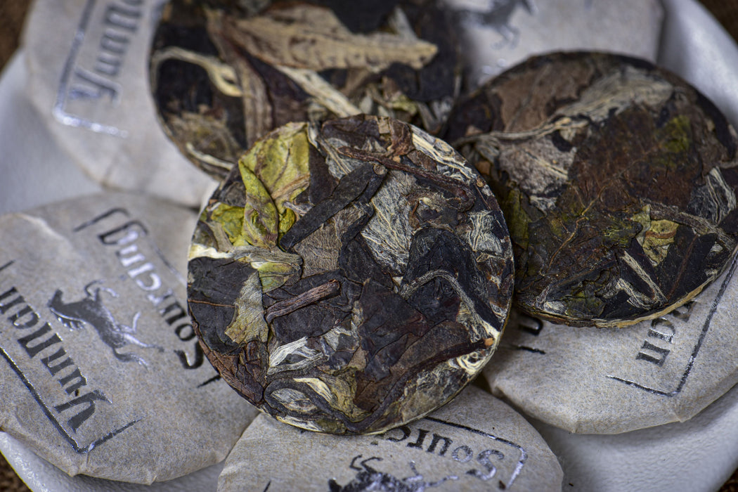 2026 Yunnan Sourcing "Silver Horse" White Tea Mini Cakes | Yunnan Sourcing Tea Shop