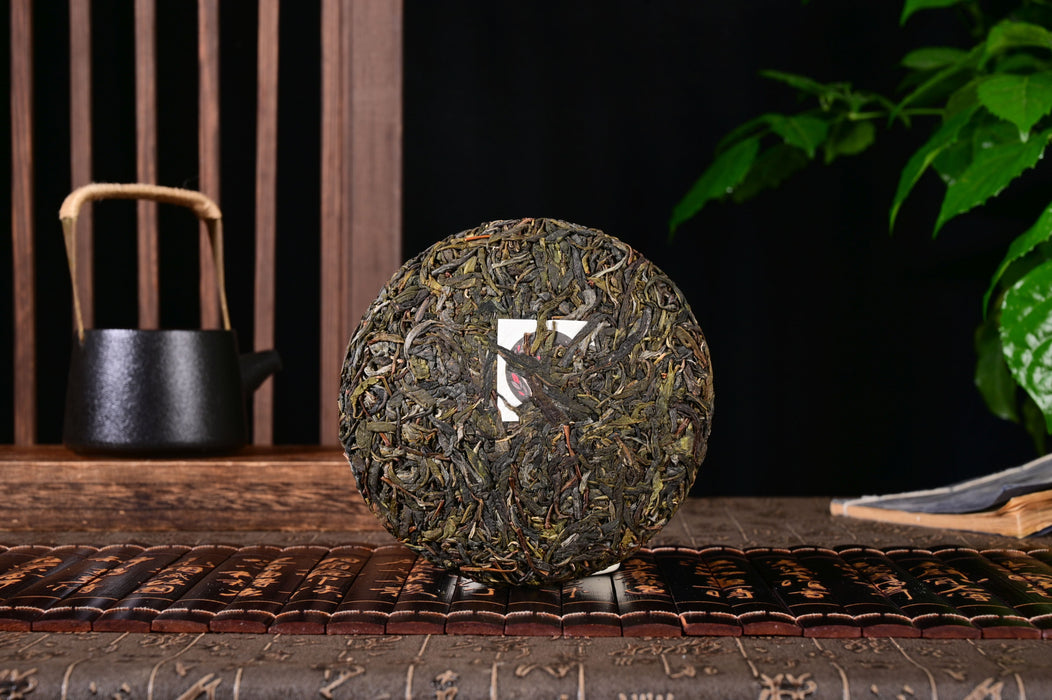 2024 Yunnan Sourcing "Da Qing Zhai" Old Arbor Raw Pu-erh Tea Cake