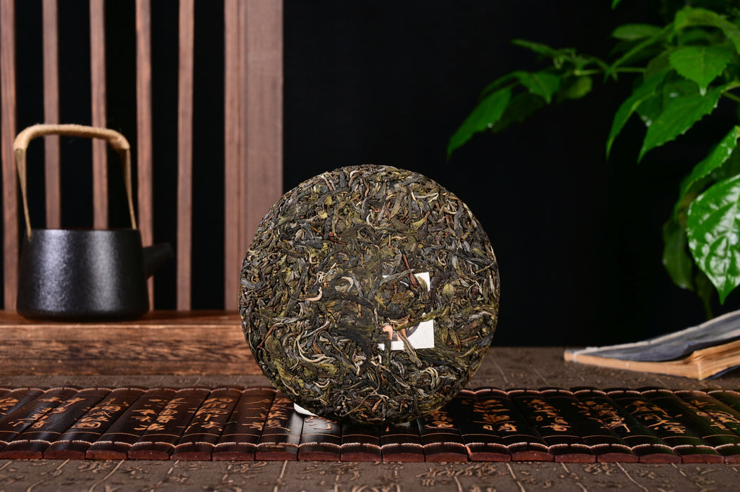 2024 Yunnan Sourcing "Man Gang Village" Old Arbor Raw Pu-erh Tea Cake