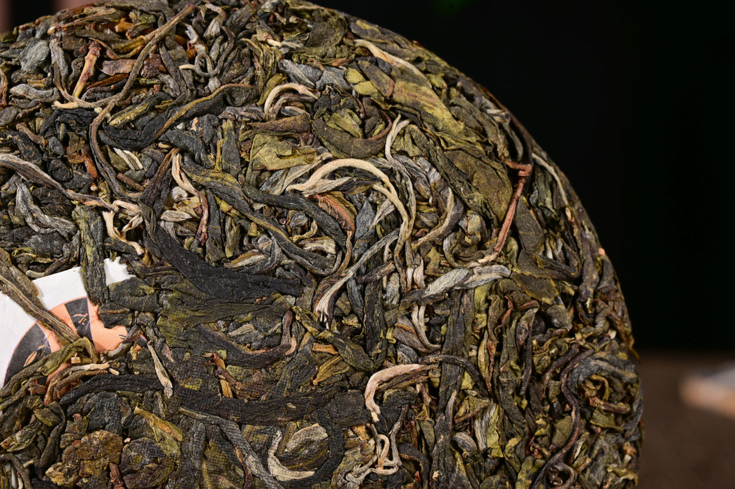 2024 Yunnan Sourcing "Man Gang Village" Old Arbor Raw Pu-erh Tea Cake