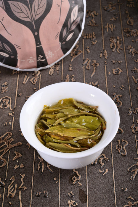 2024 Yunnan Sourcing "Na Han Village" Old Arbor Raw Pu-erh Tea Cake