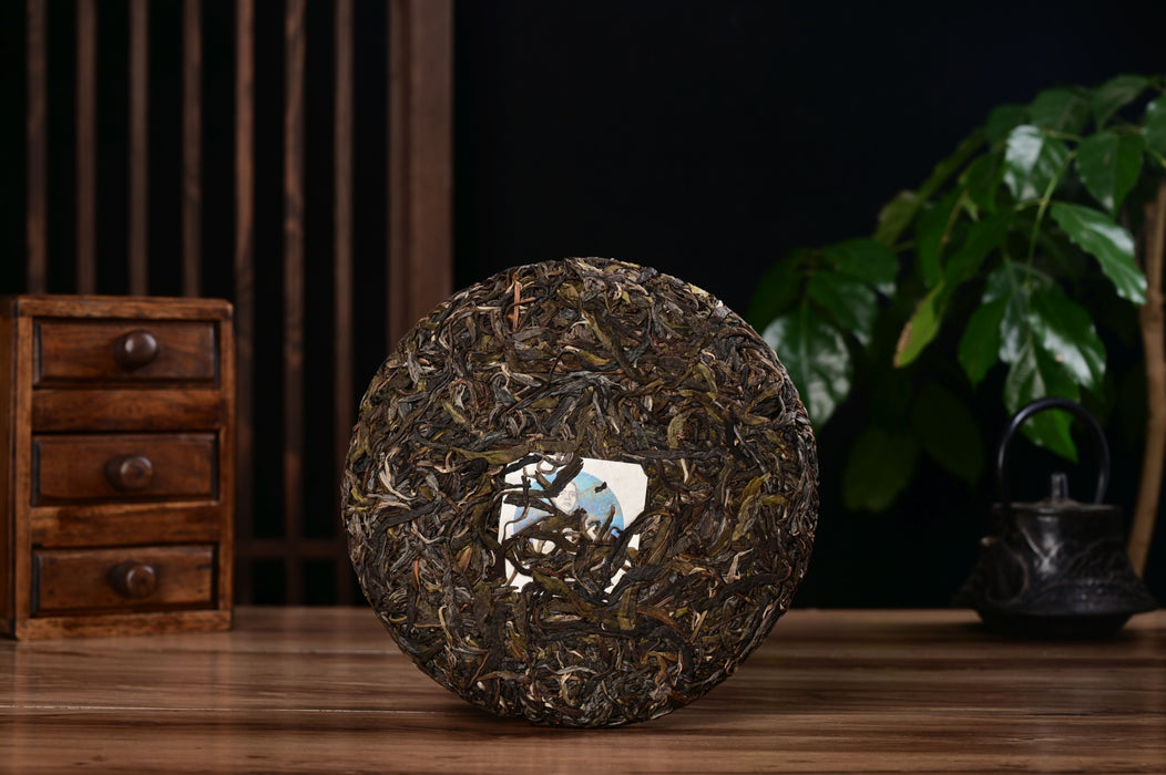 2025 Yunnan Sourcing "Mu Shu Cha" Raw Pu-erh Tea Cake | Yunnan Sourcing Tea Shop