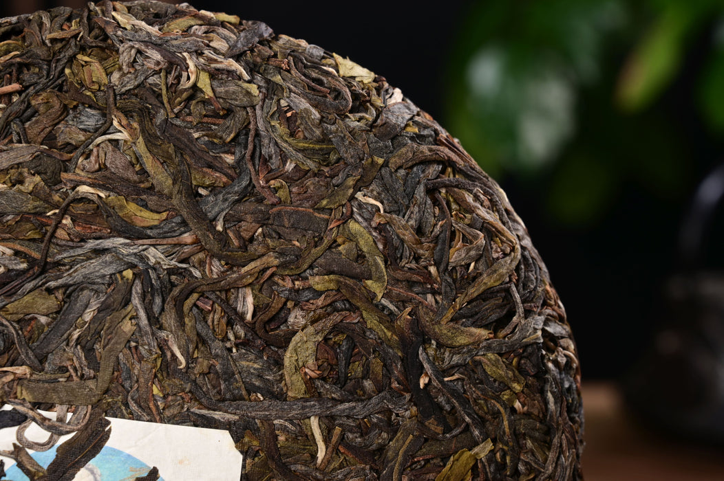 2025 Yunnan Sourcing "Mu Shu Cha" Raw Pu-erh Tea Cake | Yunnan Sourcing Tea Shop