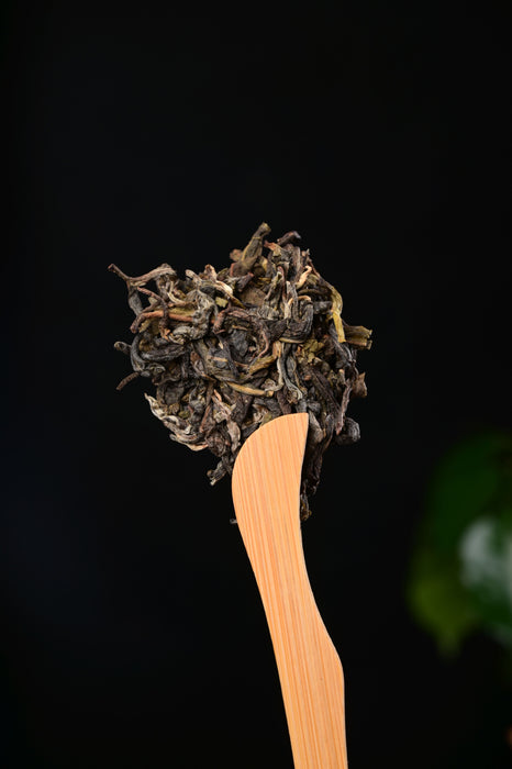 2025 Yunnan Sourcing "Mu Shu Cha" Raw Pu-erh Tea Cake | Yunnan Sourcing Tea Shop