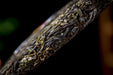 2026 Yunnan Sourcing "Impression" Raw Pu-erh Tea Cake | Yunnan Sourcing Tea Shop