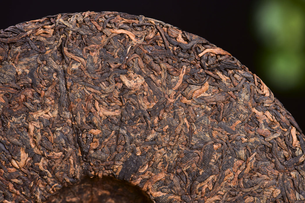 2024 Yunnan Sourcing "Pa Liang Wild" Ripe Pu-erh Tea Cake