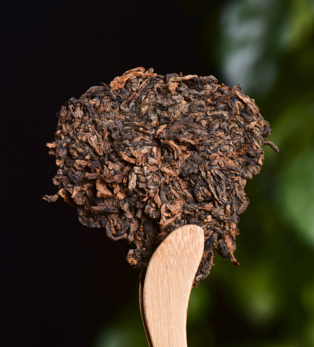 2024 Yunnan Sourcing "Pa Liang Wild" Ripe Pu-erh Tea Cake