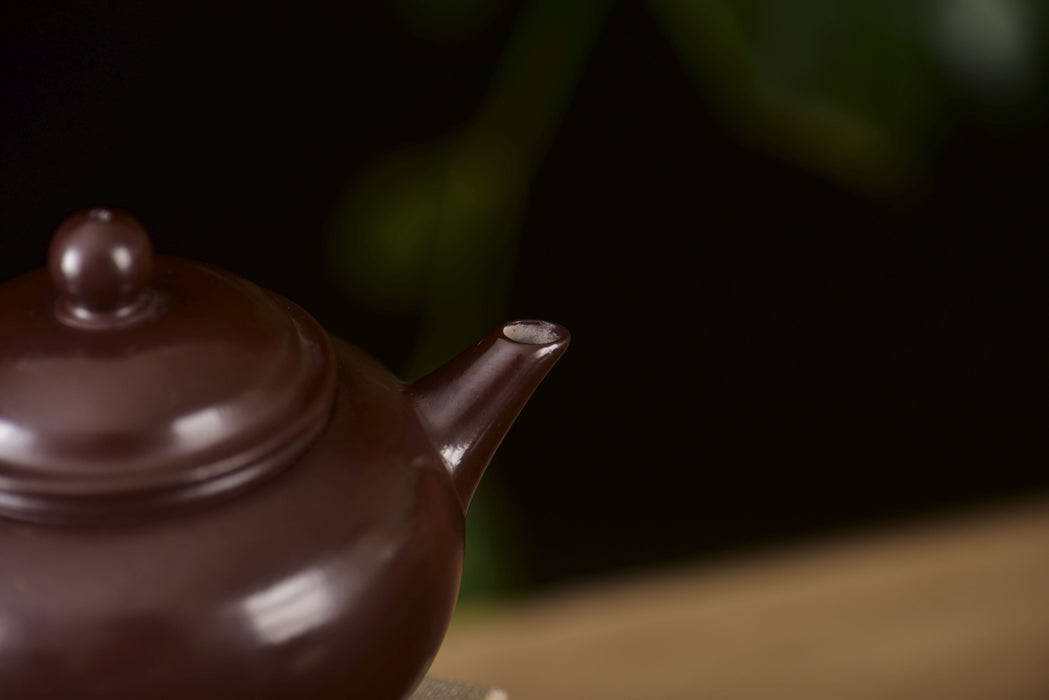 Zi Ni Purple Clay "Shui Ping Hu" Teapot * 110ml | Yunnan Sourcing Tea Shop
