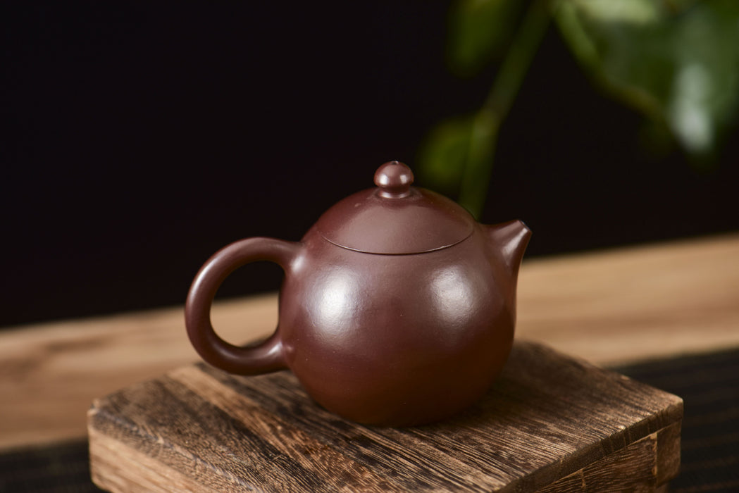 Zi Ni Purple Clay "Long Dan" Teapot * 120ml