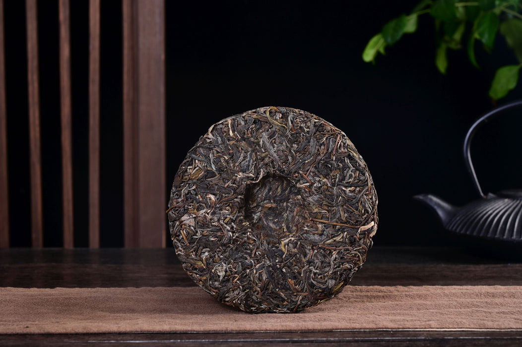 2025 Yunnan Sourcing "Wan Gong Village" Wild Arbor Raw Pu-erh Tea Cake | Yunnan Sourcing Tea Shop