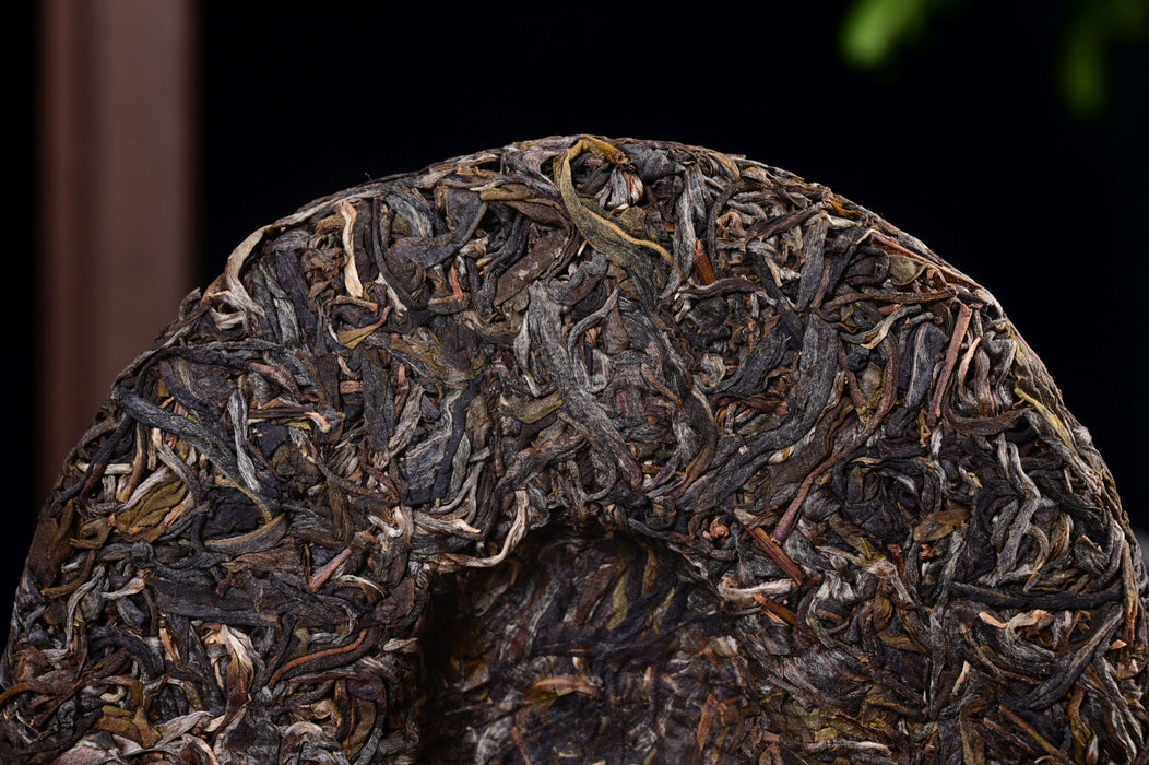 2025 Yunnan Sourcing "Wan Gong Village" Wild Arbor Raw Pu-erh Tea Cake | Yunnan Sourcing Tea Shop