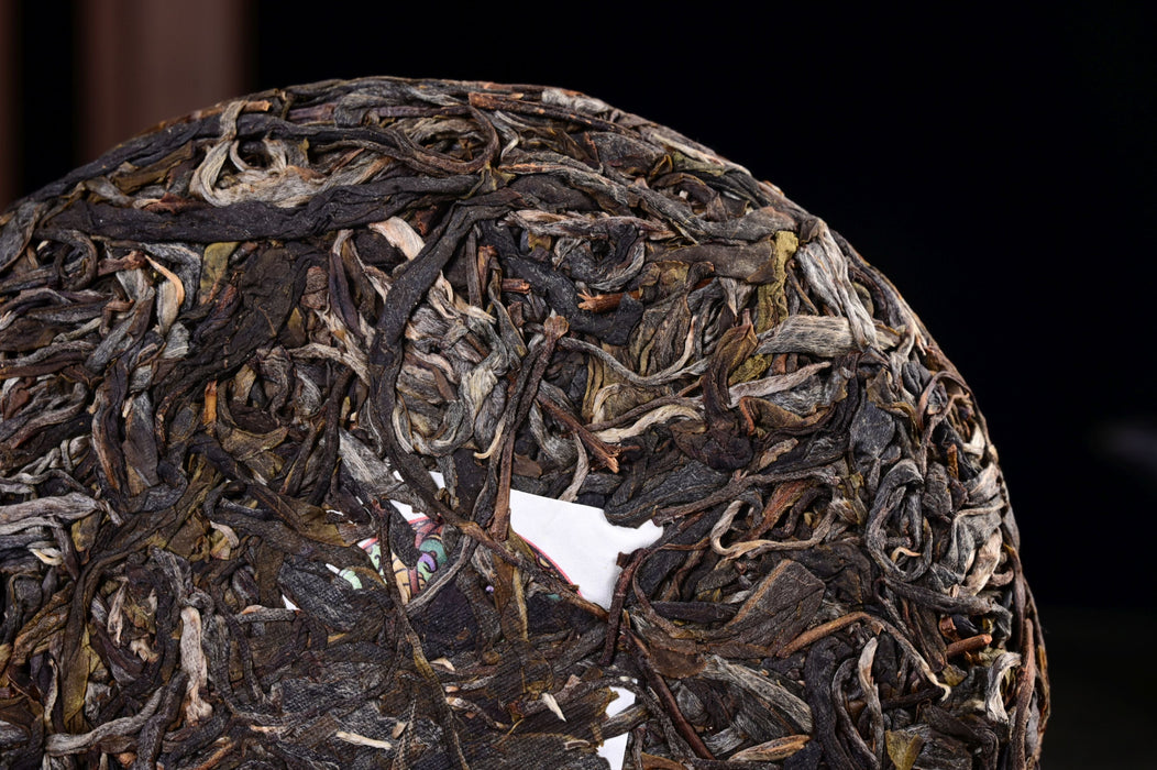 2025 Yunnan Sourcing "Wan Gong Village" Wild Arbor Raw Pu-erh Tea Cake | Yunnan Sourcing Tea Shop