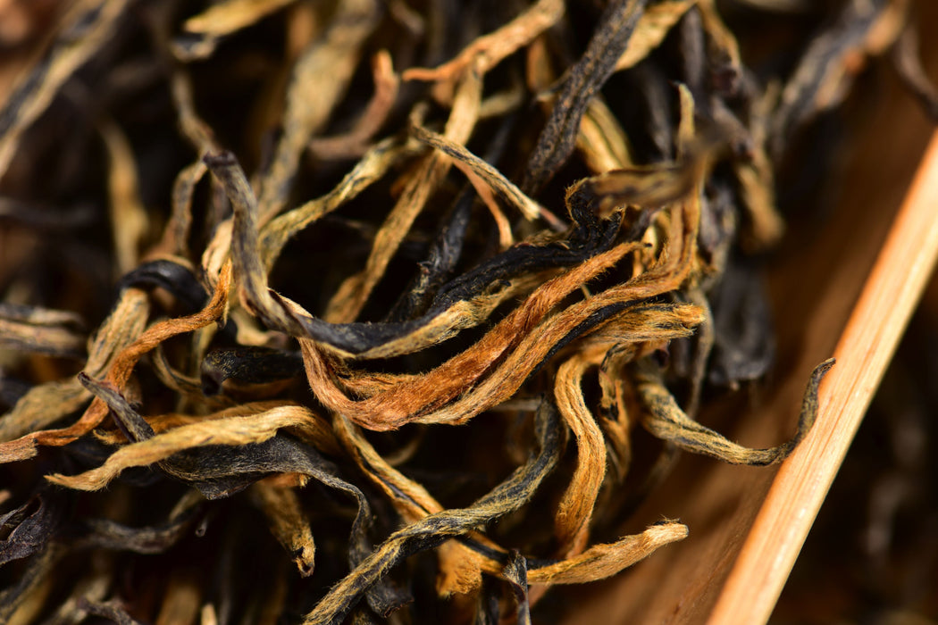 Feng Qing "Old Plantation" Dian Hong Black Tea | Yunnan Sourcing Tea Shop