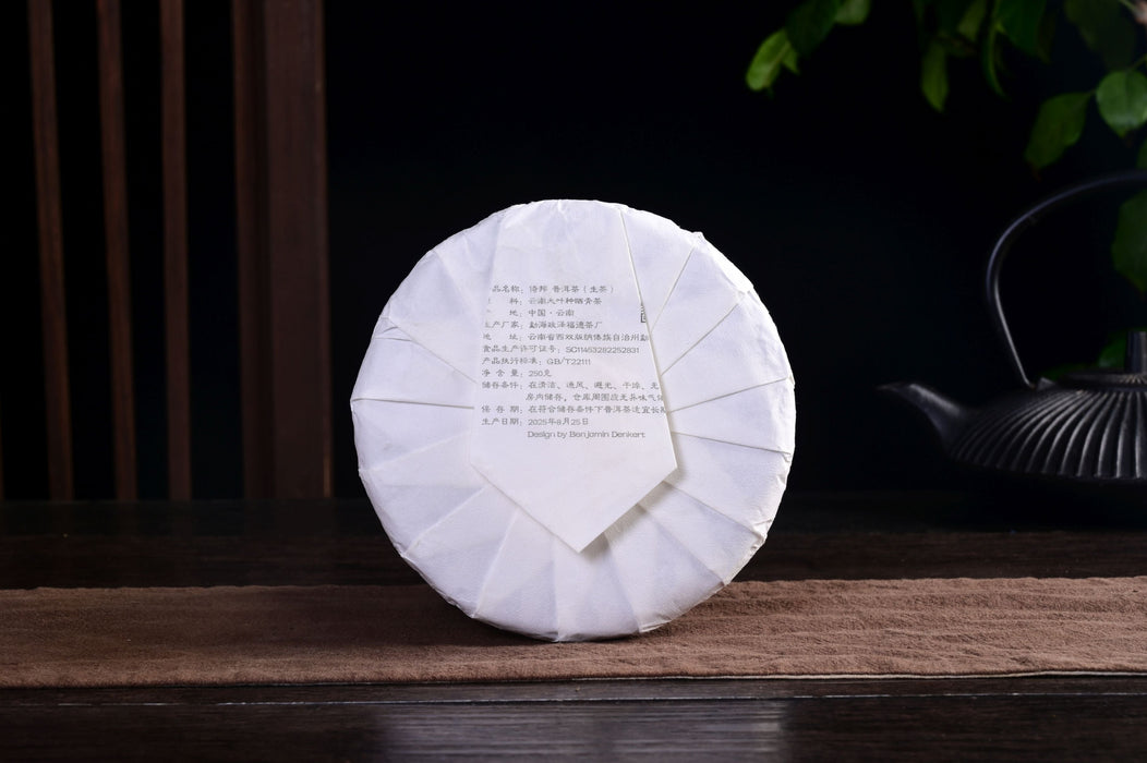 2025 Yunnan Sourcing "Yi Bang" Wild Arbor Raw Pu-erh Tea Cake | Yunnan Sourcing Tea Shop