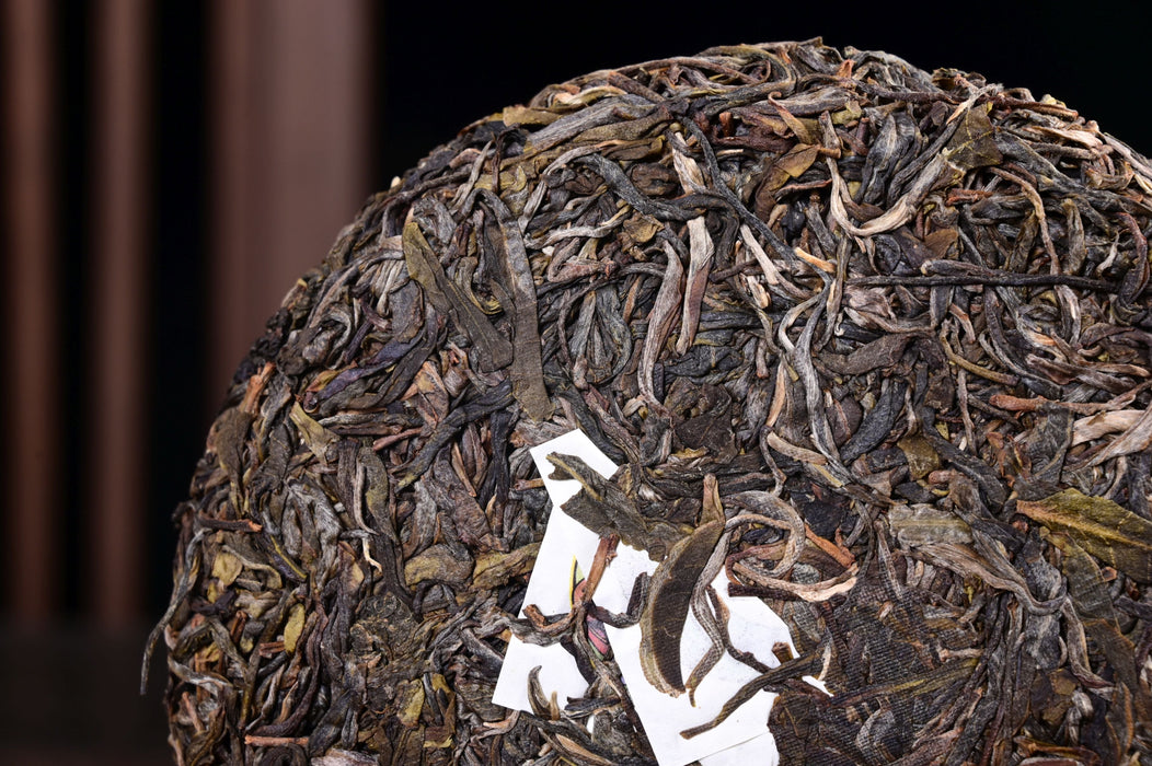 2025 Yunnan Sourcing "Yi Bang" Wild Arbor Raw Pu-erh Tea Cake | Yunnan Sourcing Tea Shop