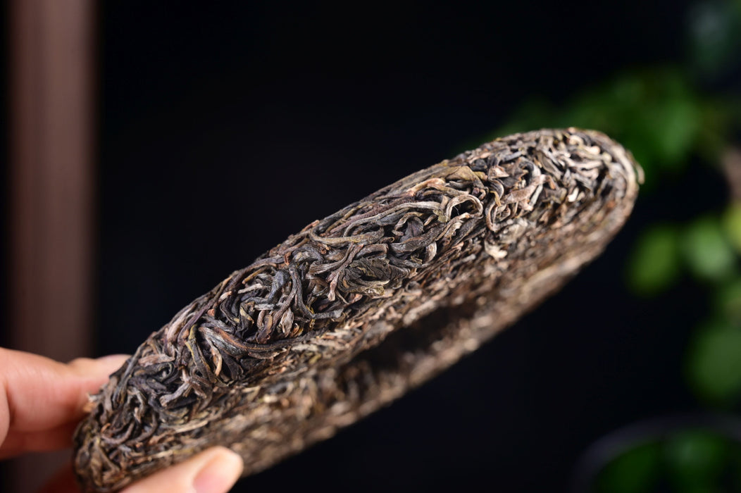 2025 Yunnan Sourcing "Yi Bang" Wild Arbor Raw Pu-erh Tea Cake | Yunnan Sourcing Tea Shop