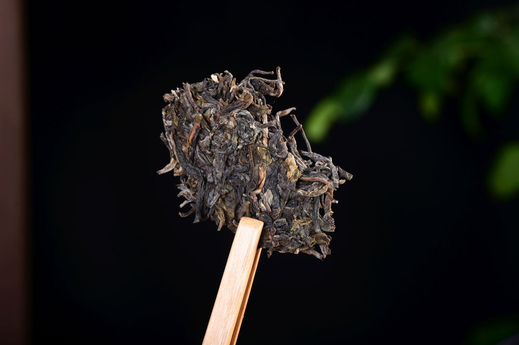 2025 Yunnan Sourcing "Yi Bang" Wild Arbor Raw Pu-erh Tea Cake | Yunnan Sourcing Tea Shop