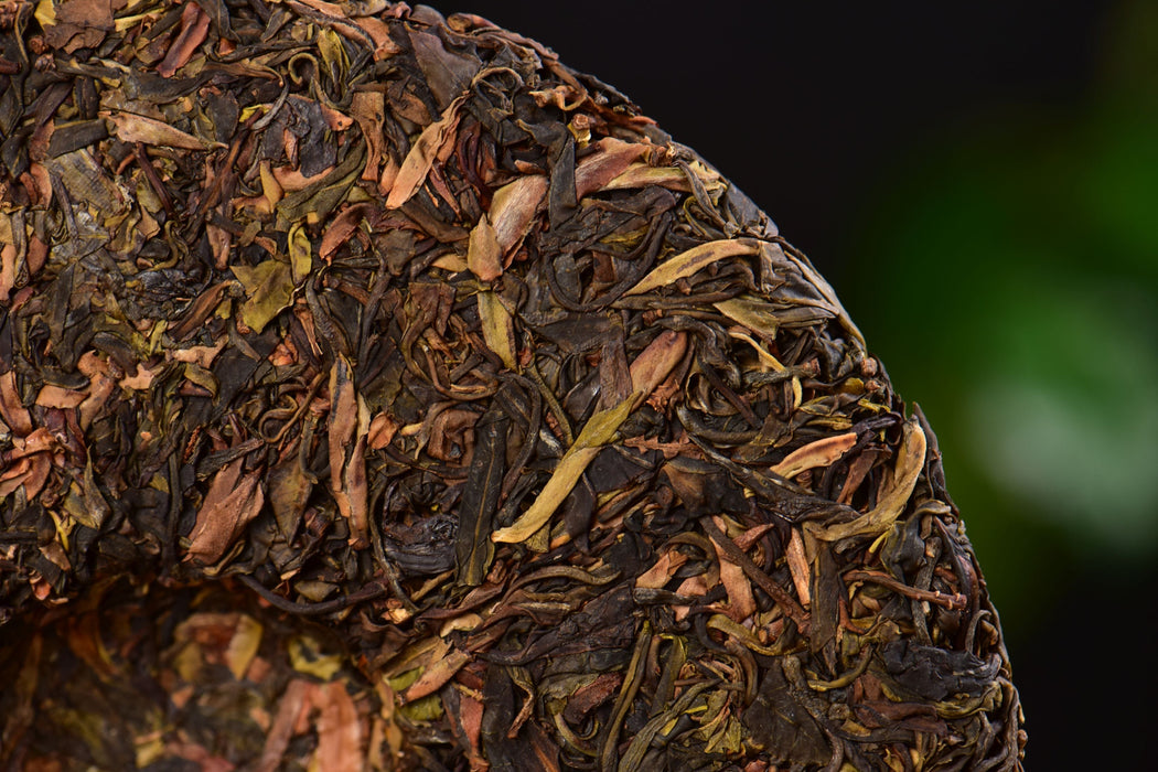 2024 Yunnan Sourcing "Purple Dragon" Raw Pu-erh Tea Cake | Yunnan Sourcing Tea Shop