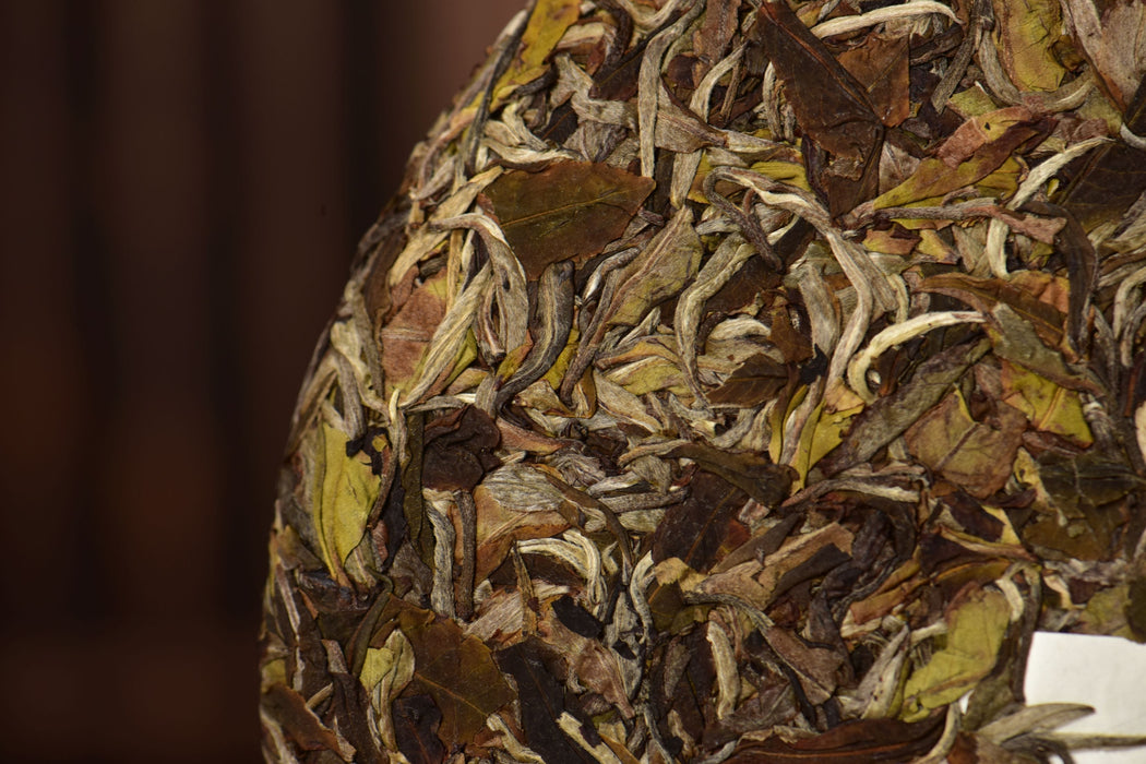 2025 Yunnan Sourcing "Mengku Gu Shu Bai Cha" White Tea Cake | Yunnan Sourcing Tea Shop