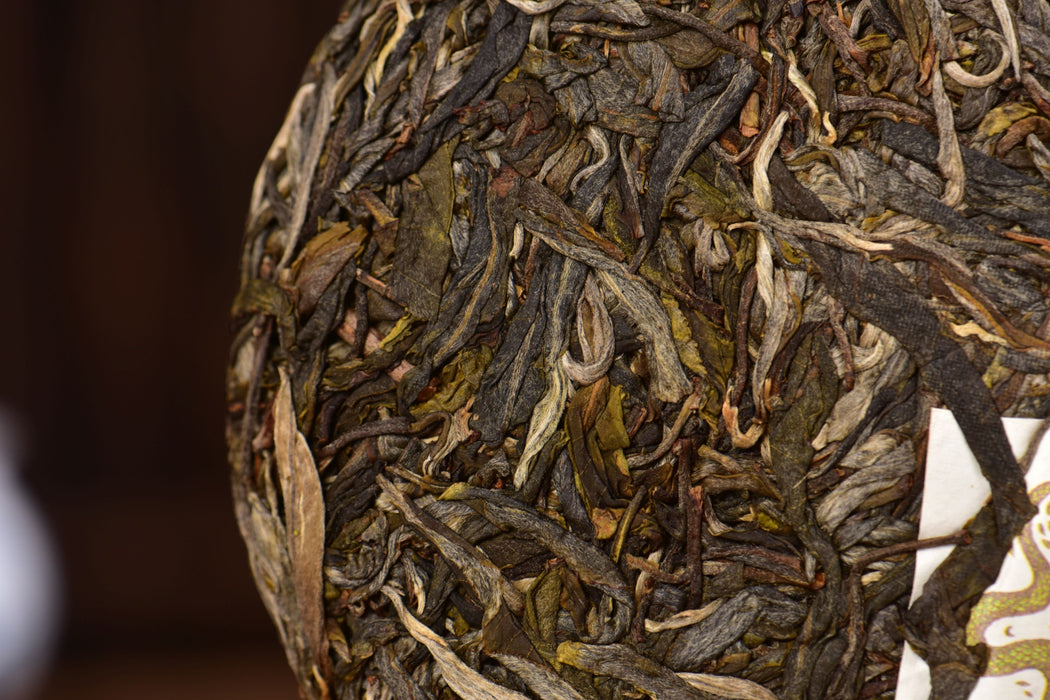 2025 Yunnan Sourcing "Mo Lie Shan" Raw Pu-erh Tea Cake | Yunnan Sourcing Tea Shop