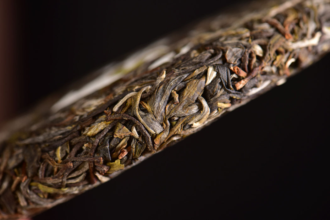 2025 Yunnan Sourcing "Mo Lie Shan" Raw Pu-erh Tea Cake | Yunnan Sourcing Tea Shop