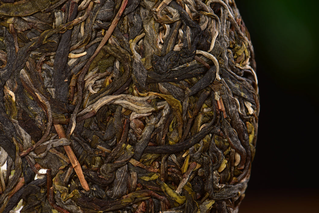 2025 Yunnan Sourcing "Bing Dao Lao Zhai" Raw Pu-erh Tea Cake | Yunnan Sourcing Tea Shop
