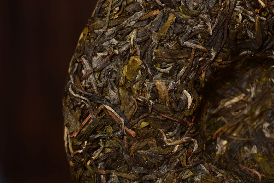 2025 Yunnan Sourcing "Bing Dao Lao Zhai" Raw Pu-erh Tea Cake | Yunnan Sourcing Tea Shop