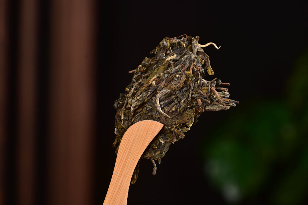 2025 Yunnan Sourcing "Bing Dao Lao Zhai" Raw Pu-erh Tea Cake | Yunnan Sourcing Tea Shop