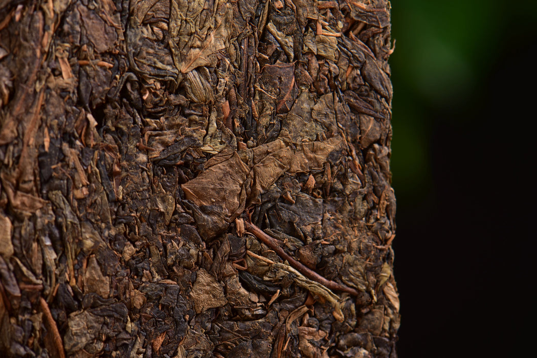 2016 Cha Yu Lin "Fu Rong Mountain" Fu Brick Tea | Yunnan Sourcing Tea Shop