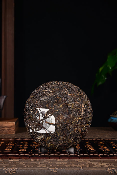 2024 Yunnan Sourcing "Naka Beauty" Old Arbor Raw Pu-erh Tea Cake