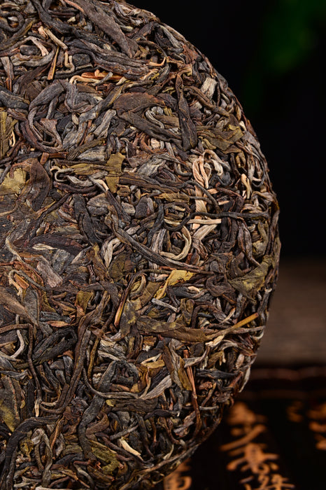 2024 Yunnan Sourcing "Naka Beauty" Old Arbor Raw Pu-erh Tea Cake