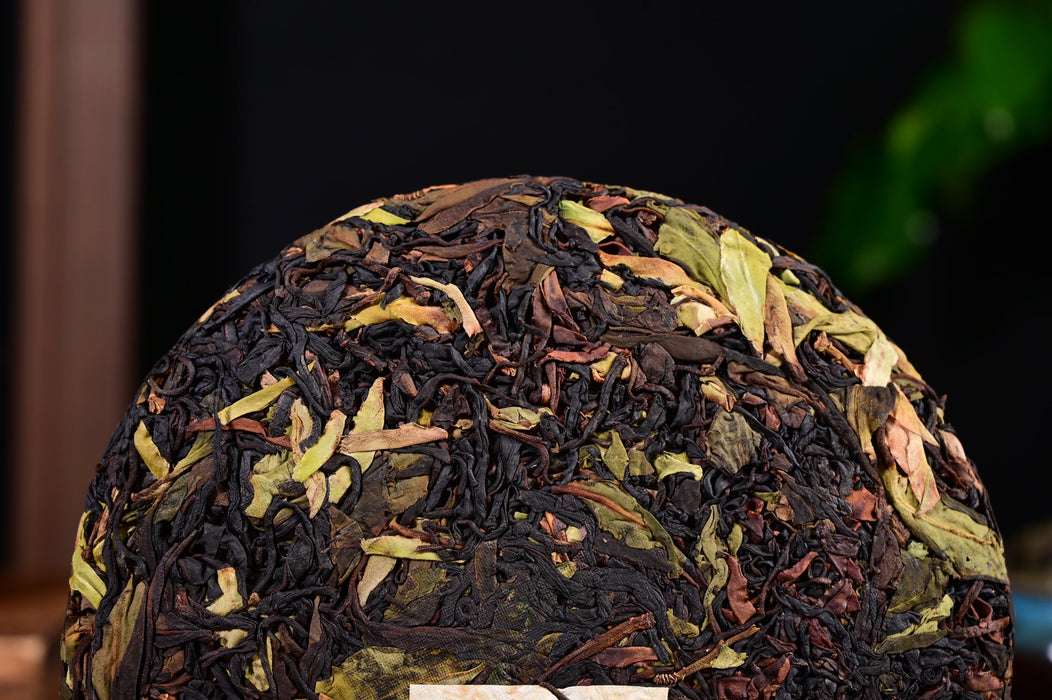 2024 Yunnan Sourcing "Synergy" Black and White Tea Cake