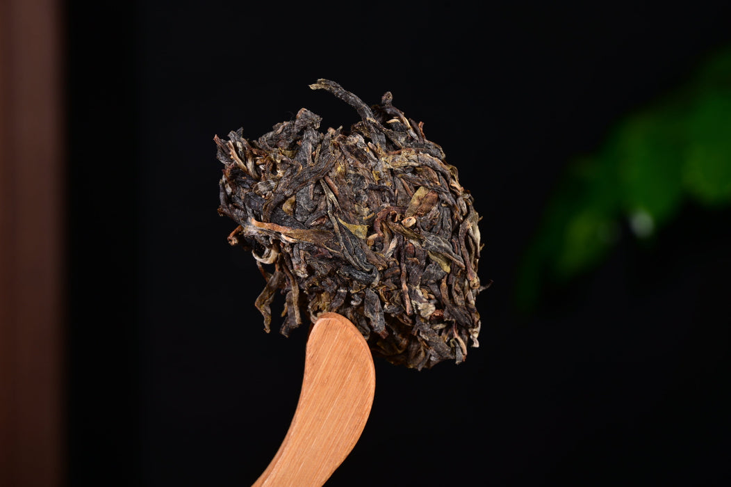 2024 Yunnan Sourcing "Naka Beauty" Old Arbor Raw Pu-erh Tea Cake