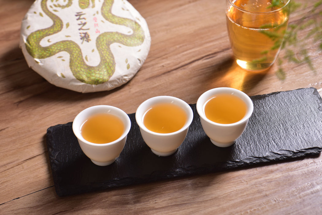 2025 Yunnan Sourcing "Mo Lie Shan" Raw Pu-erh Tea Cake | Yunnan Sourcing Tea Shop