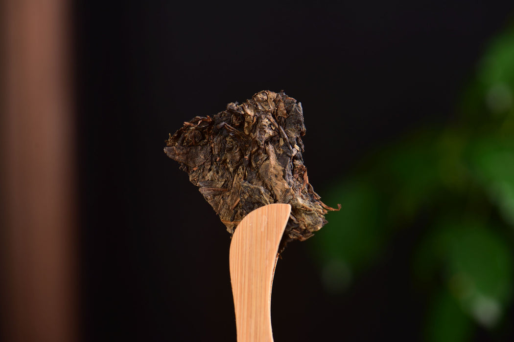 2016 Cha Yu Lin "Fu Rong Mountain" Fu Brick Tea | Yunnan Sourcing Tea Shop