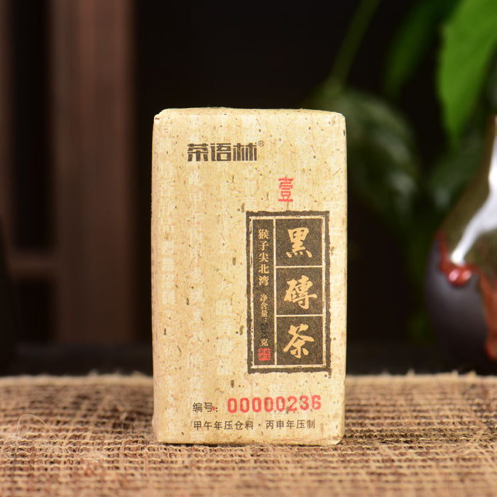 2016 Cha Yu Lin "Monkey Jian" Tian Jian Hei Cha Brick Tea