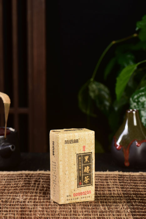 2016 Cha Yu Lin "Monkey Jian" Tian Jian Hei Cha Brick Tea