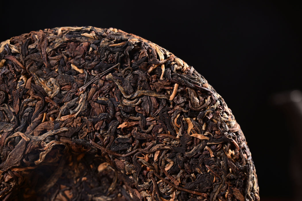2024 Yunnan Sourcing "Suan Zao Shu" Old Arbor Black Tea Cake | Yunnan Sourcing Tea Shop