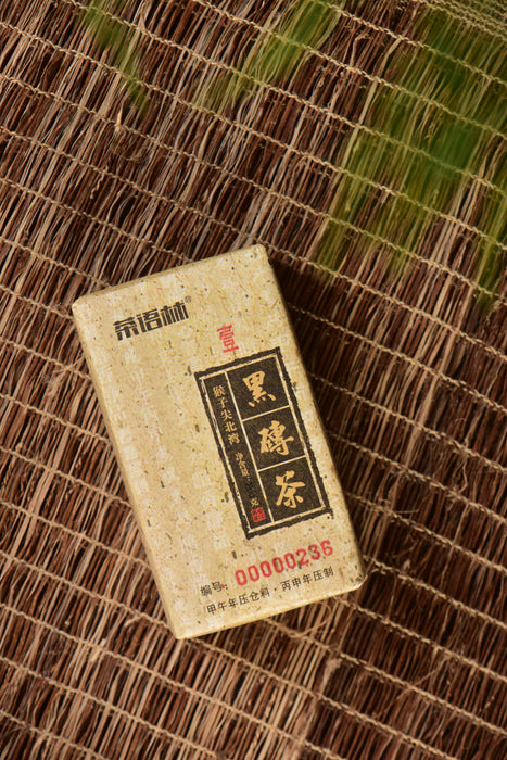 2016 Cha Yu Lin "Monkey Jian" Tian Jian Hei Cha Brick Tea