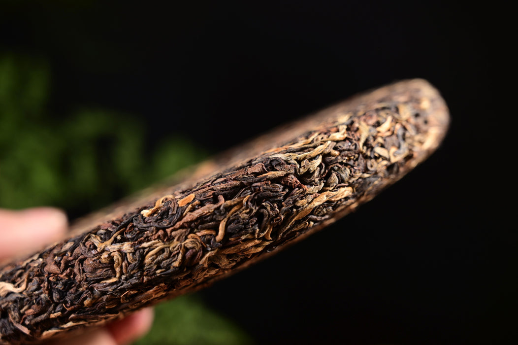 2024 Yunnan Sourcing "Suan Zao Shu" Old Arbor Black Tea Cake | Yunnan Sourcing Tea Shop