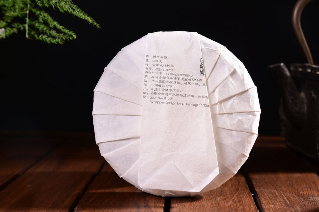 2025 Yunnan Sourcing "Purple White Tea" of Yong De Tea Cake | Yunnan Sourcing Tea Shop