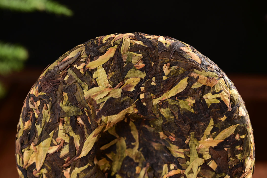 2025 Yunnan Sourcing "Purple White Tea" of Yong De Tea Cake | Yunnan Sourcing Tea Shop