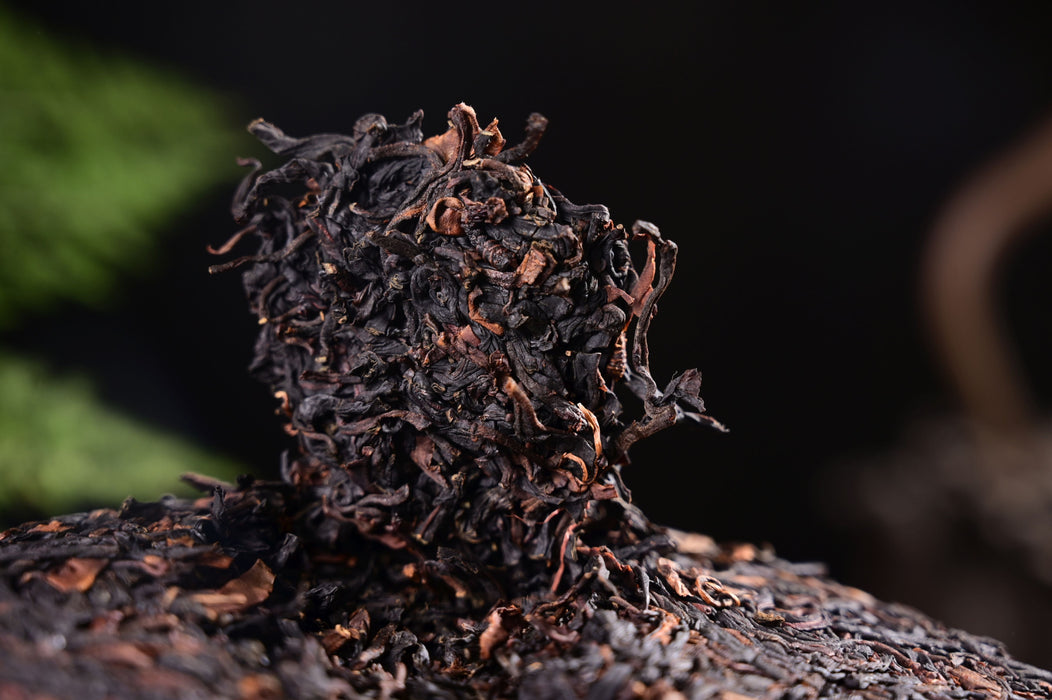 2025 Yunnan Sourcing "Wild Purple Black" of Yong De Tea Cake | Yunnan Sourcing Tea Shop