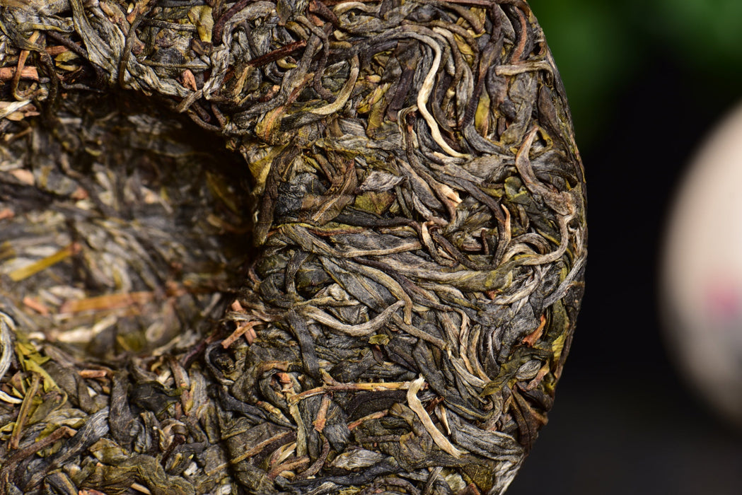 2024 Yunnan Sourcing "Mo Lie Shan" Raw Pu-erh Tea Cake | Yunnan Sourcing Tea Shop