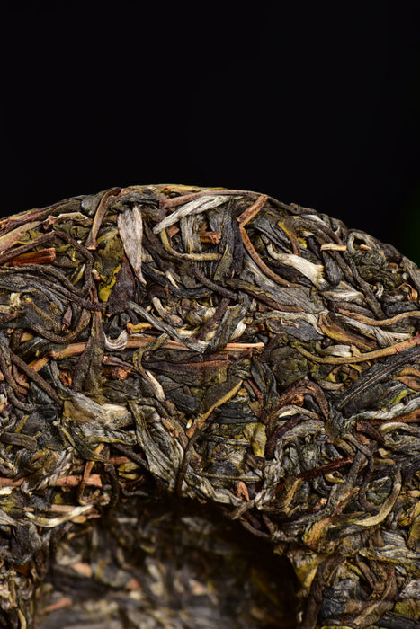 2024 Yunnan Sourcing "Mo Lie Shan" Raw Pu-erh Tea Cake | Yunnan Sourcing Tea Shop