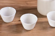 Ice Jade Porcelain Easy Gaiwan and Cups Tea Set | Yunnan Sourcing Tea Shop